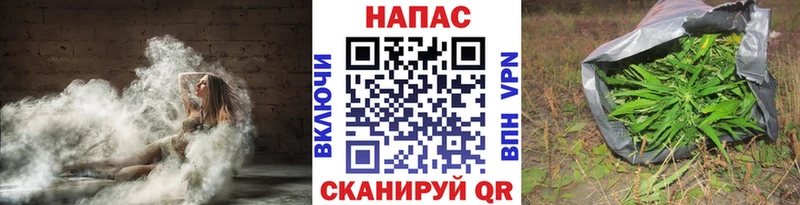 Купить где  Жуковка  Бошки марихуана ГИДРОПОН 